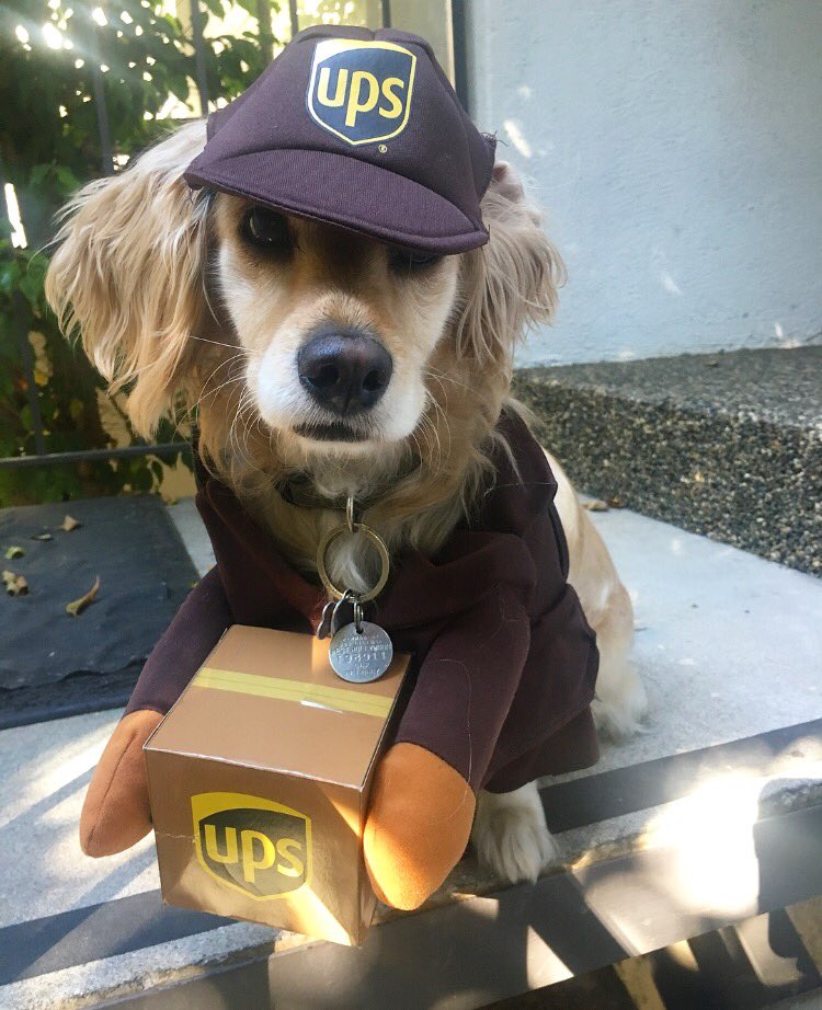 TheRickyManning's tweet photo. my dog really wants to be a model rt to help make his dreams come true https://t.co/XLunPCUjyF
