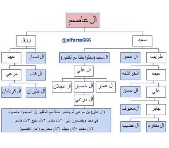 شجرة بني هاجر لاينز