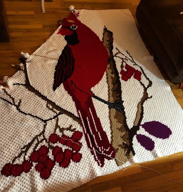 JanetRGuido's tweet image. #crochet #cardinal #minic2c #WIP only 92 rows to go bit.ly/31E4IZa