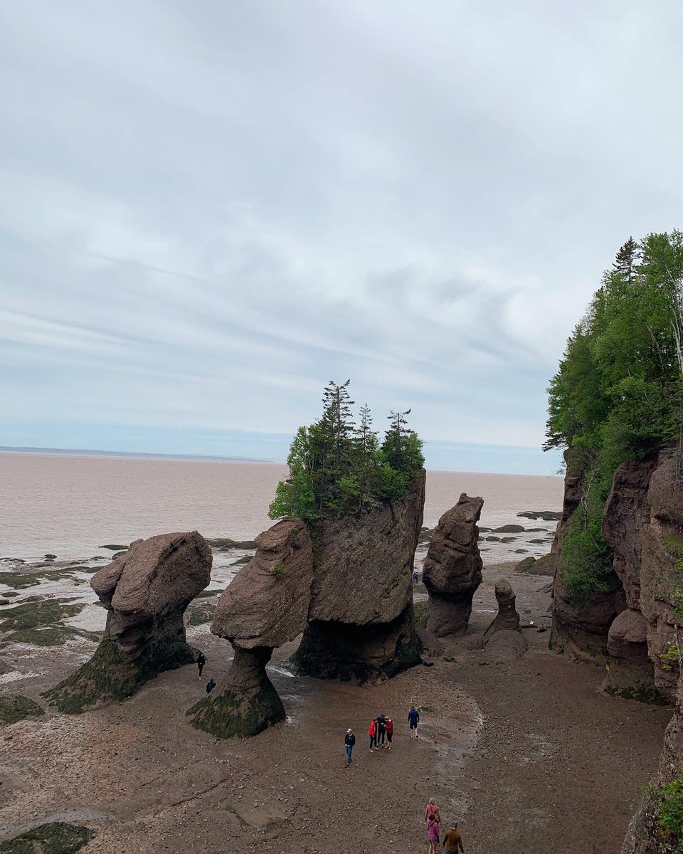 edznovilla's tweet photo. Hopewell Rocks, located in the Bay of Fundy, which has the world’s HIGHEST tides/tidal shifts |•| experienced the HIGH TIDE at 41.3 feet around 12:31pm and LOW TIDE from 3:51 to 5:18pm today —— definitely worth a visit! 🇨🇦 #exploreNB #Canada #tidalshift https://t.co/jMKTop9YSO