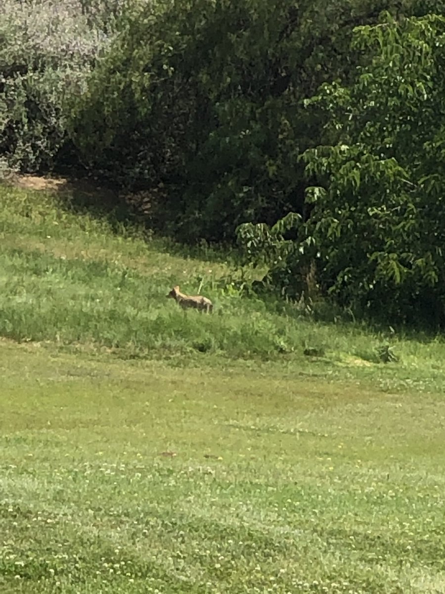 XMaster (@XMaster29337302) | Twitter