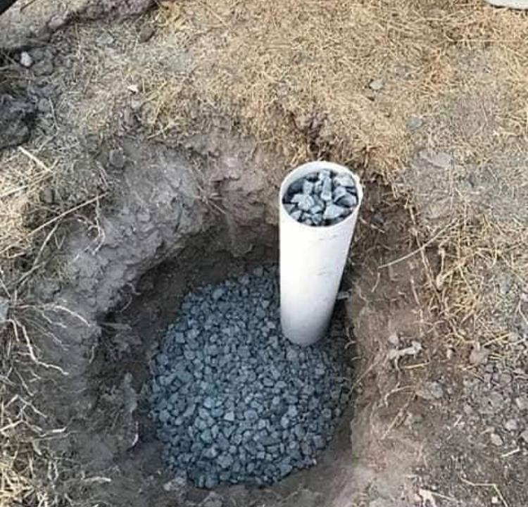 cedr1437's tweet photo. طريقة ممتازة للري تحت عند الجذور والحد من تبخر الماء.
نأمل ممن يجربها تزويدنا بالنتائج والصور او مقطع فيديو. https://t.co/oM8jCoP6oW