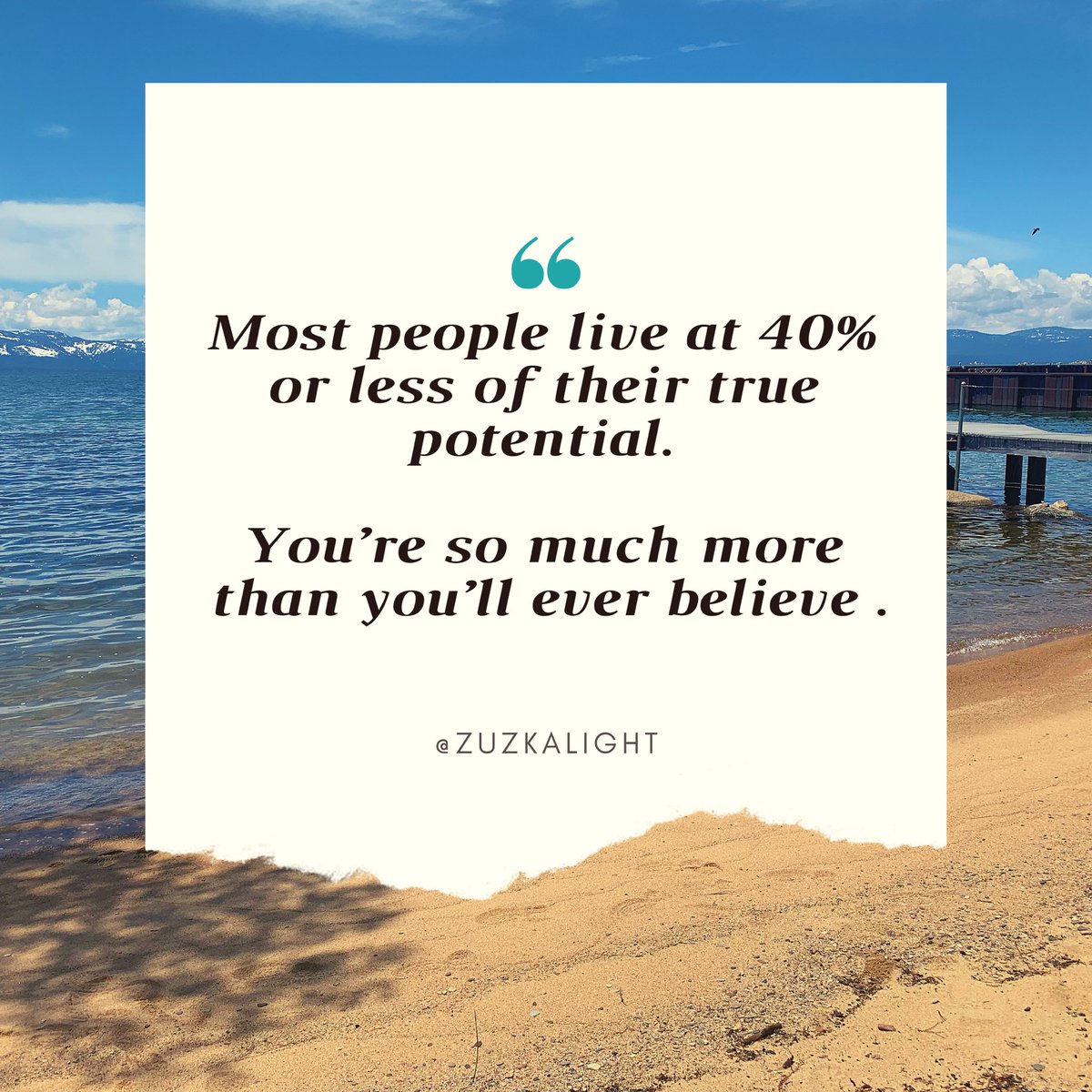 Zuzka Light tweet media