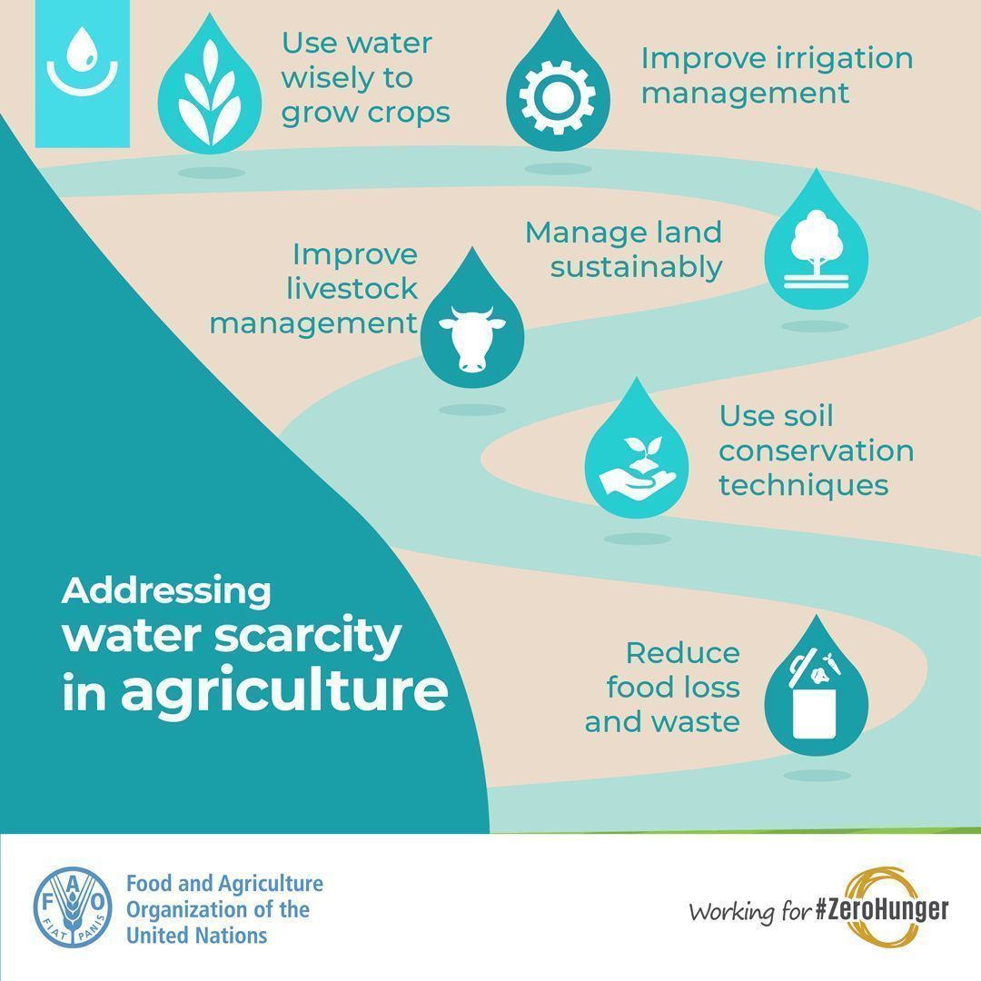 FAO's tweet photo. Water scarcity is one of the greatest challenges of our time. How we can address it in #agriculture 👇
#water #ZeroHunger https://t.co/msexon8Q78
