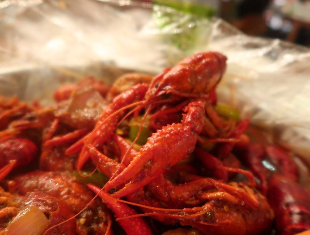 ザリガニは実は食用できる 気になる味や食べ方を詳しく解説 キャンパーズ