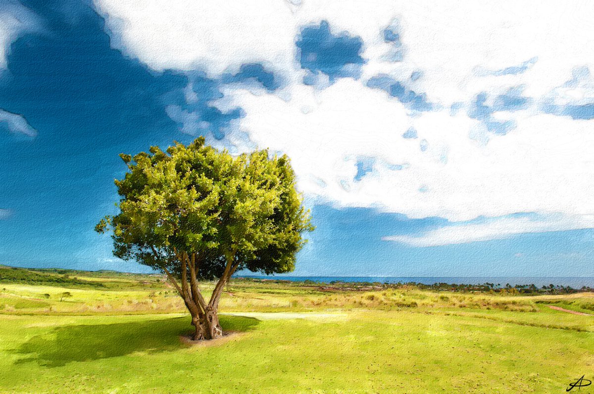ADartworksyt's tweet photo. https://t.co/i1xRzCb90G
it's a landscape this time
#landscape #watercolor #painting #watercolorpainting #blogwork #blog #blogger #digitalpainting #digitalart #digitalartist #artistsontwitter https://t.co/xfAvrfmrzk
