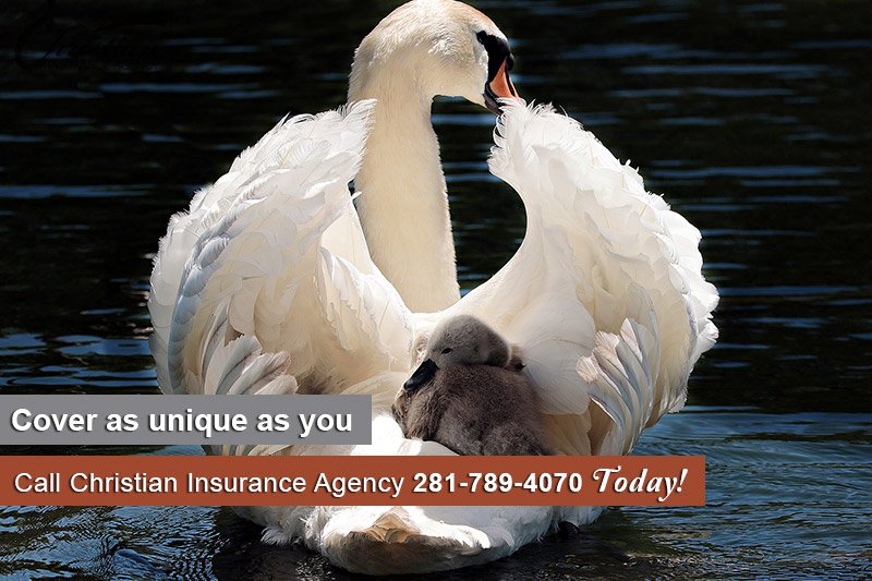 christianains's tweet photo. Independent Insurance Agency Houston
Reference: https://t.co/SXI6BuT6aU
#HomeInsuranceHarrisCounty
#IndependentInsuranceAgencyHouston
#HoustonUmbrellaInsurance
#AutoInsuranceBrokerHouston
#PersonalAutoInsuranceHouston
#FloodInsuranceHouston
#HomeownersInsuranceHouston https://t.co/fh5LFNH8Nv