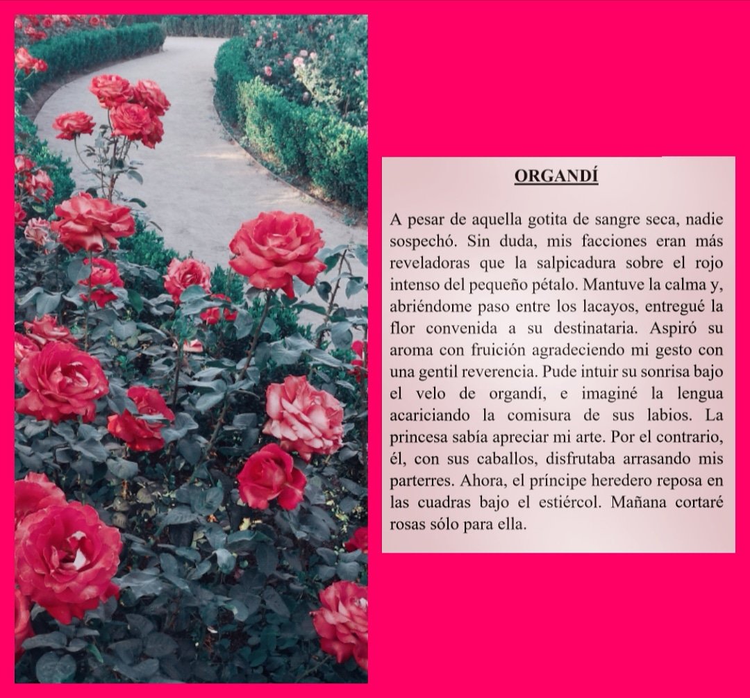 microrror's tweet image. instagram.com/p/ByzOwrACyJR/…