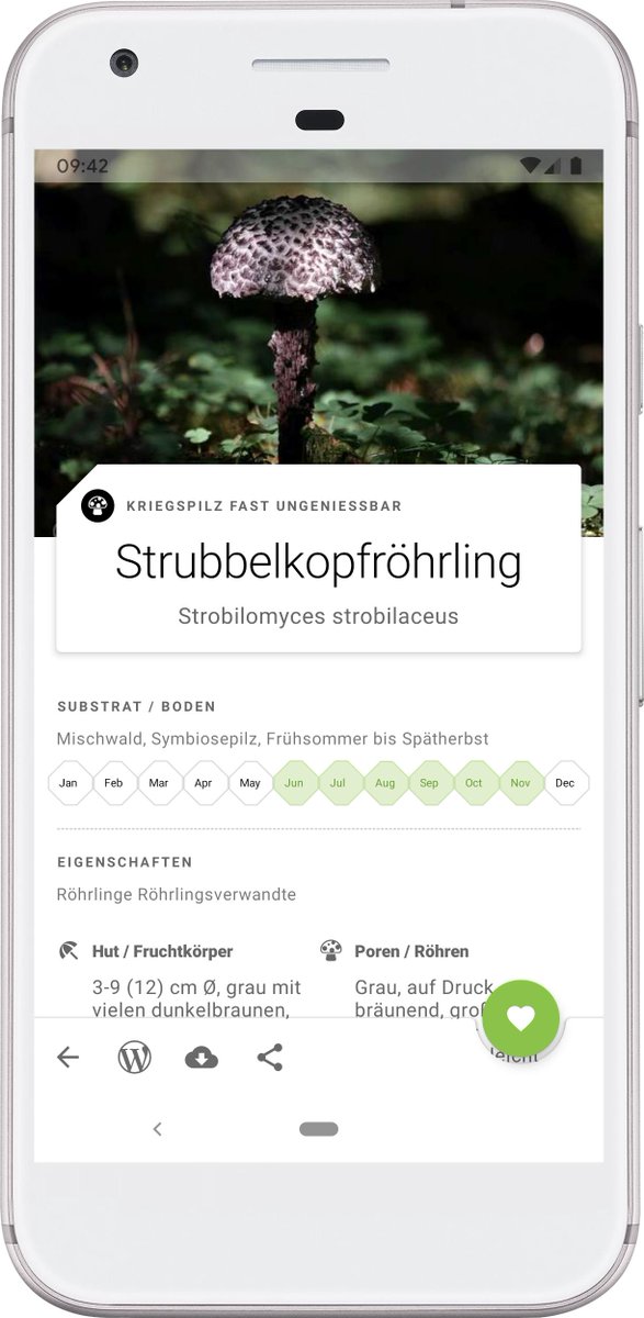 AndroidAppJunky's tweet image. Das umfangreichste Pilzlexikon 🍄
3700+ Pilzen & 30.000+ Fotos
app.123pilze.de/web
#Pilz #App #Android #launch