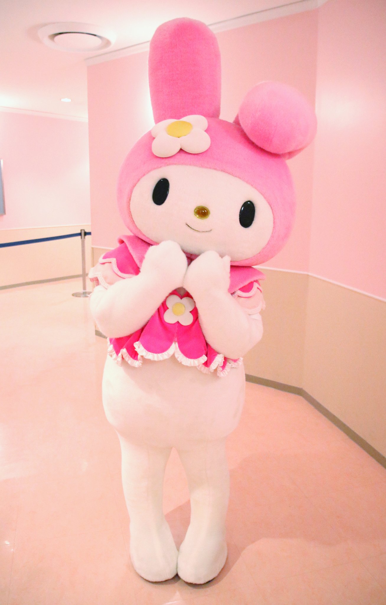 MEGUMI🐰♡ on X: 