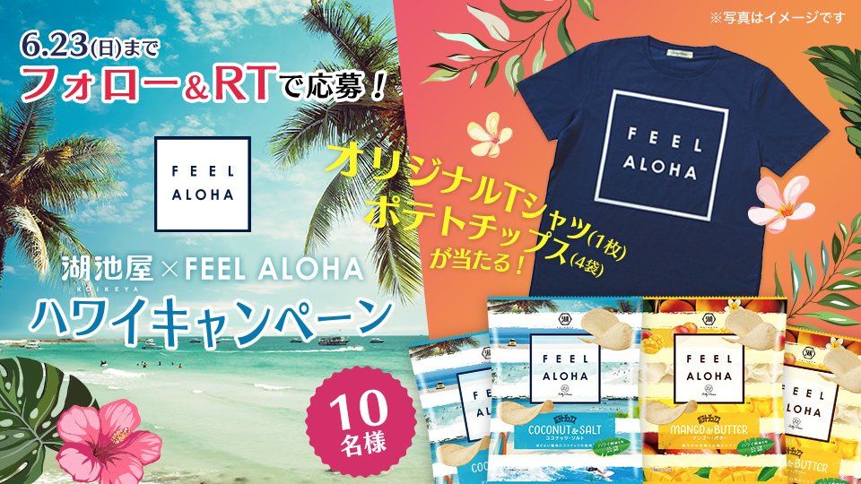 koikeya_cp's tweet photo. 🌺フォロー＆RTで応募🌺

@koikeya_cpをフォロー＆このツイートをRTで、新商品「ポテトチップス FEEL ALOHAシリーズ」 (4袋)と「FEEL ALOHA」ロゴ入りTシャツのセットが10名様に当たります🎁
ご応募は6月23日まで♪

#キャンペーン #湖池屋 
#FEELALOHA #ハワイ #コイケヤポテチでハワイ気分 https://t.co/al8Eomzvdh