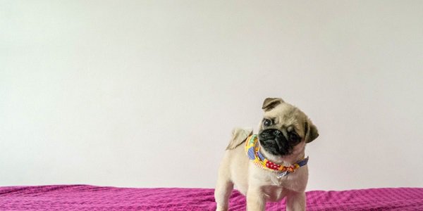 AbstractaUS's tweet image. Little known ways to measure #TestCoverage ow.ly/Co8I30oVoDh via @AskTester #TestMetrics