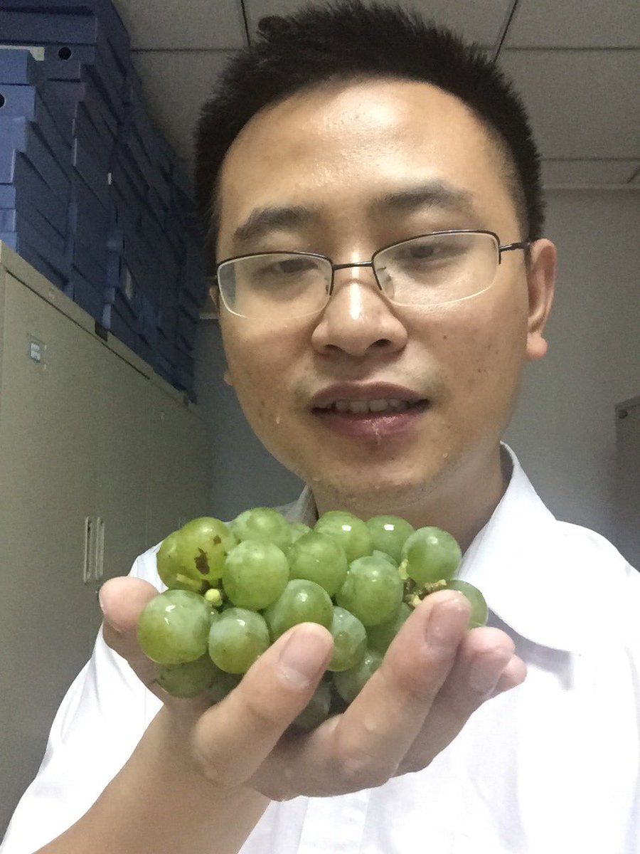 JamesCageWhite's tweet photo. Hi there, I’m eating grapes after lunch ,very green very fresh I like it ! Good night my friends😴 https://t.co/ykVVrc4B13