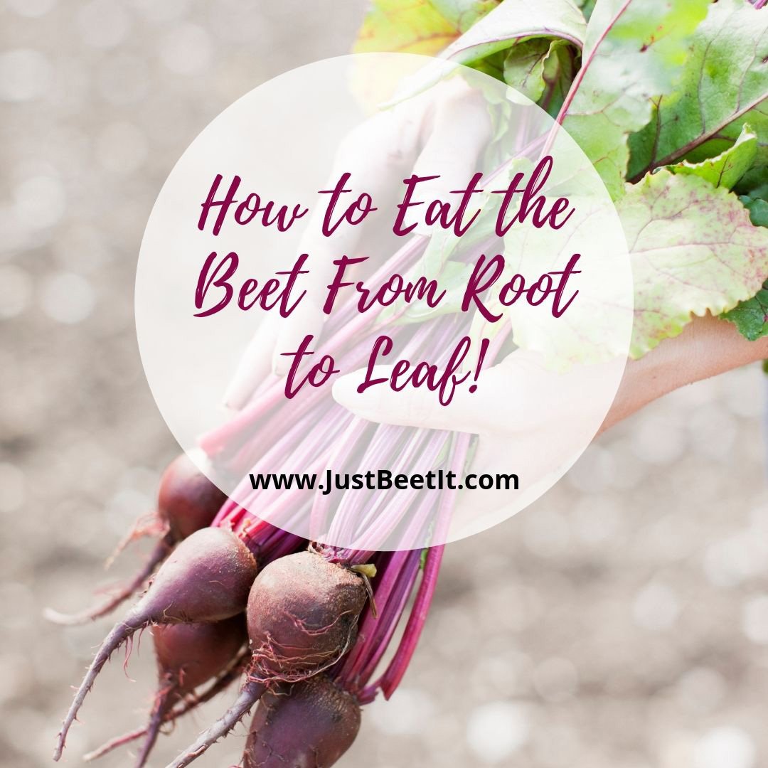 just_beet_it's tweet photo. Eat the Beet From Root to Leaf! Looking for new ways? We've got you covered with 30+ recipes for roots, stems, &amp; leaves! https://t.co/6UmKw0wfDS #sustainability #zerowaste #reduce #beets #beetroots #beetgreens #organic #roottoleaf #reducewaste #recipes #beetrecipes #veggies #raw https://t.co/xCDIsswxzY