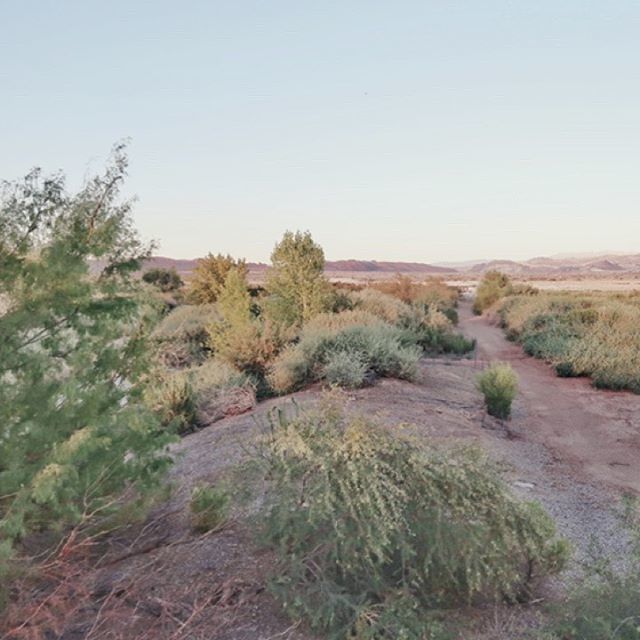 smplybeinsab87's tweet photo. Nothing like a beautiful nature walk around sunset 🌅 #naturewalking #vegasblogger #nevadasunset #momlife #mommyvlogger #desertlife🌵 #youtubemom https://t.co/fGLqGdEV96 https://t.co/uu2NNXIR0R