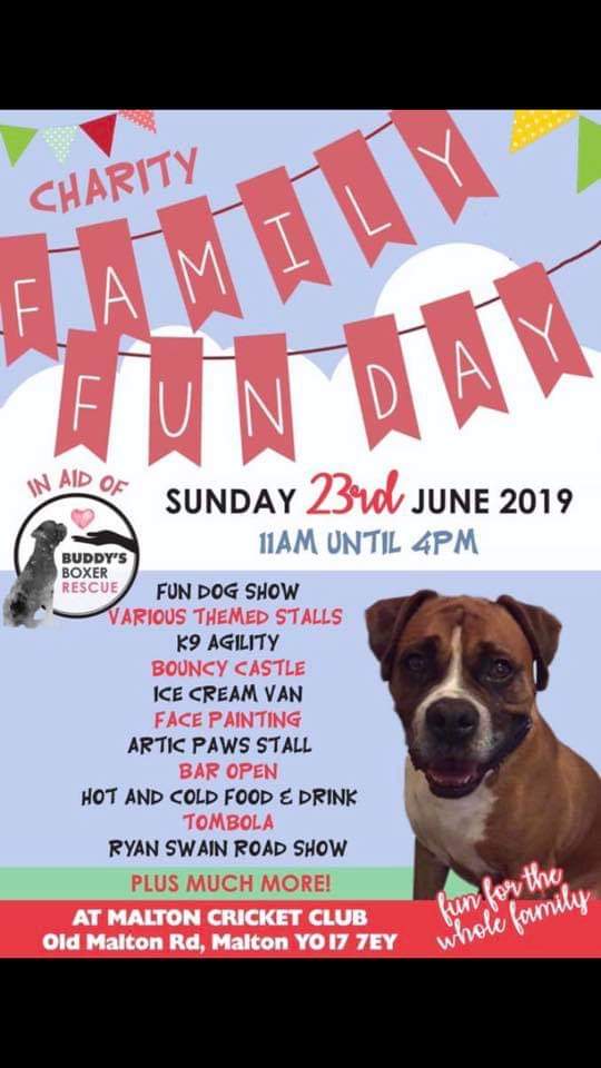 NOT TO BE MISSED! Buddy's Boxer Rescue 2nd Funday, raising pennies for doggies in need.