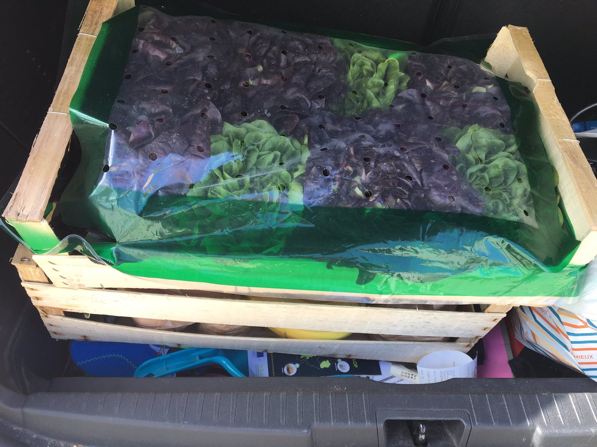 ychoulet's tweet image. Salades. Ok. Légumes. Ok. Ustensiles. Ok. Bananes, Fraises. Ok. Recettes. Ok. C’est bon, mon cartable est prêt. #classedugout