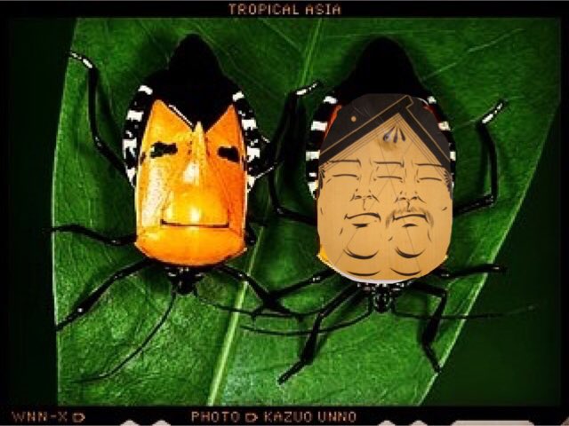力士シール 力士シール