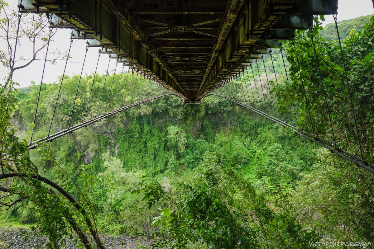 📍 Reunion Island
※ ⠀
_ 
#réunion #laréunion #iledelaréunion #reunionisland #lareunionlela #pitondelafournaise #jungle #welcometothejungle #travelbug #TravelAwesome #travelpic #travelers #traveldiary #traveldeeper #outdoorphotography #outdoors #naturelovers #paysage #landscapes