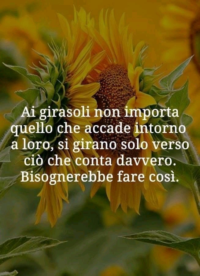 espby's tweet photo. E a proposito di #ikigai, @chiru_daniela riposto questa meraviglia condivisa da mariangela #tripaldi e la dedico a noi #freelance @FreelanceNetIT1 https://t.co/J8hKOvXGPo