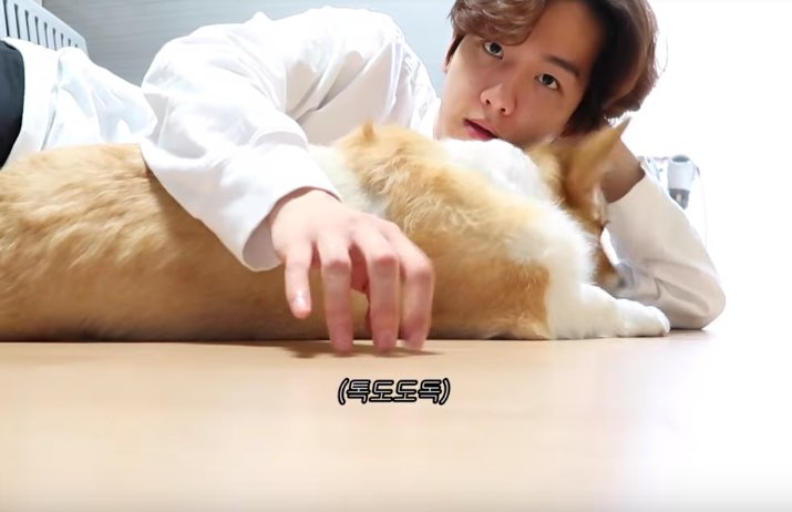 sm34946906's tweet photo. เกิดเป็นกูนี้ต้องมานั่งอิฉาหมาอีกสักกี่ครั้งกันคะ😅😅😅 

#EXO #BAEKHYUN #BAEK #แบคฮยอน https://t.co/dfIt5V9zXE