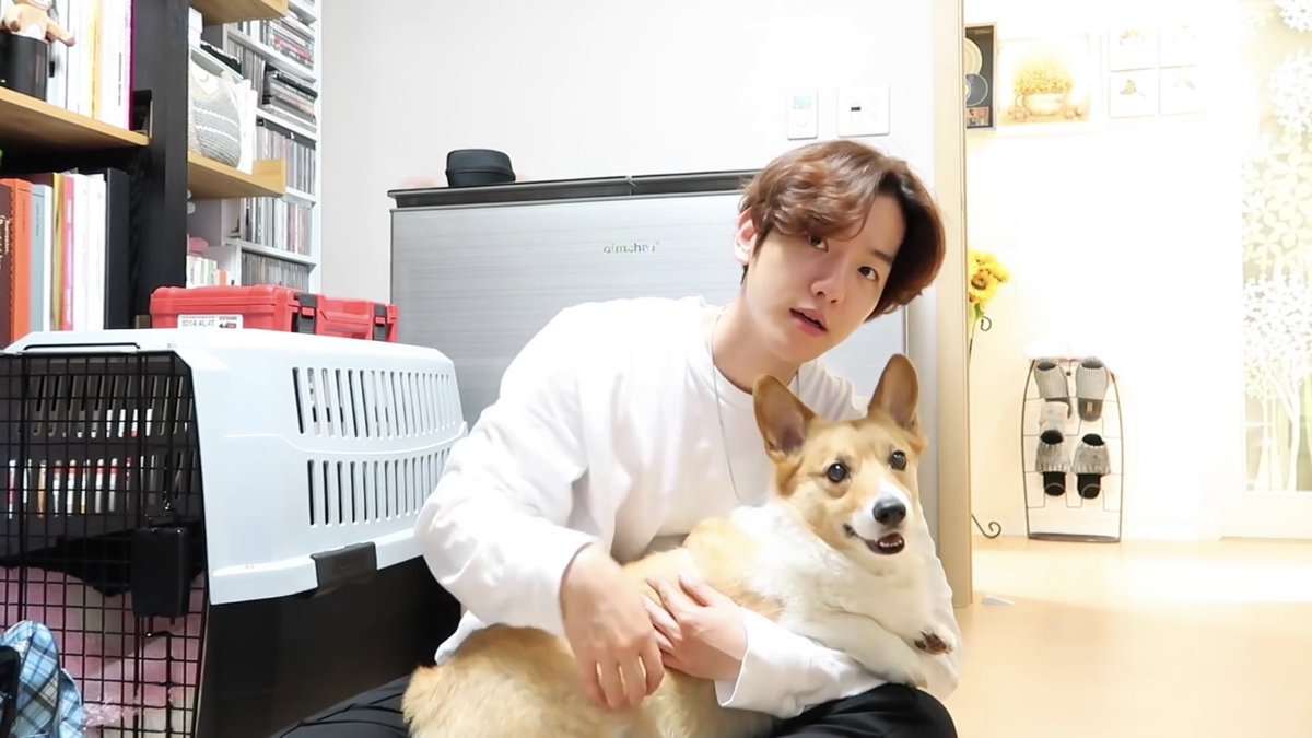 sm34946906's tweet photo. เกิดเป็นกูนี้ต้องมานั่งอิฉาหมาอีกสักกี่ครั้งกันคะ😅😅😅 

#EXO #BAEKHYUN #BAEK #แบคฮยอน https://t.co/dfIt5V9zXE