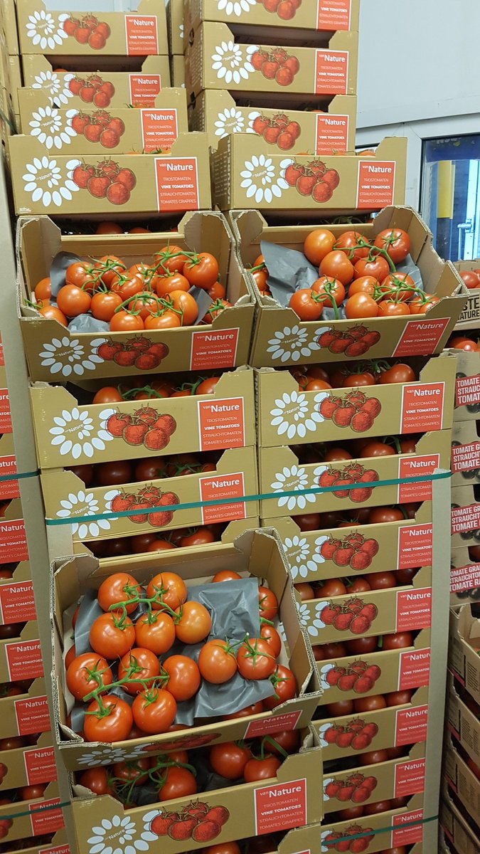 Lovely bit of quality Dutch round and Vine tomatoes in at Total Wolves today. 
@Frank_LevarhtUK 
<a href="/Levarht/">Levarht</a> 
#sunnywolves #fresh