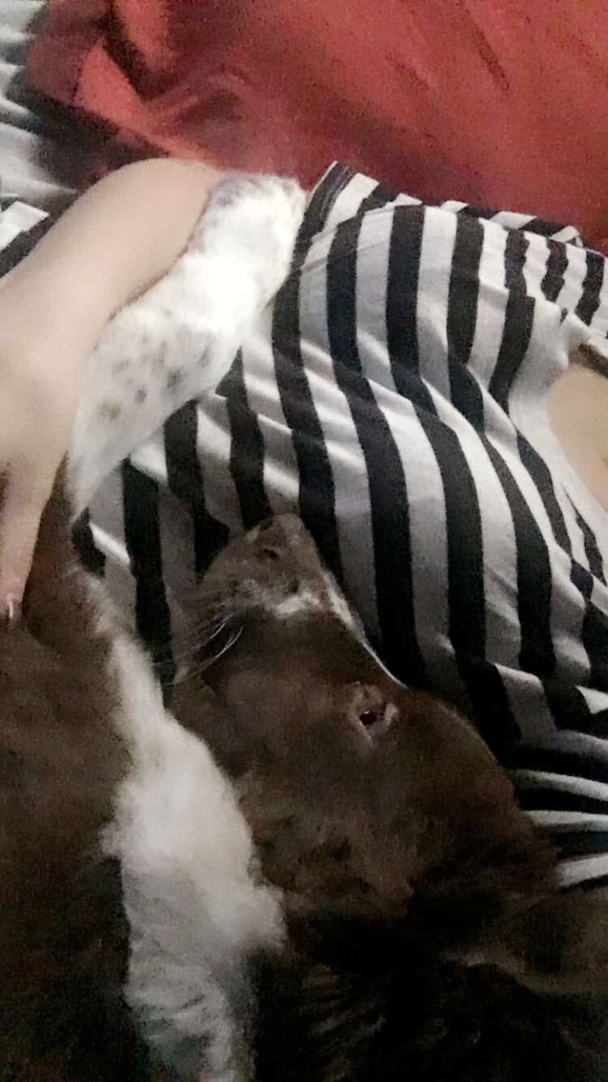 —; Since I dont have any rps going, take this photo of my puppy cuddling me.