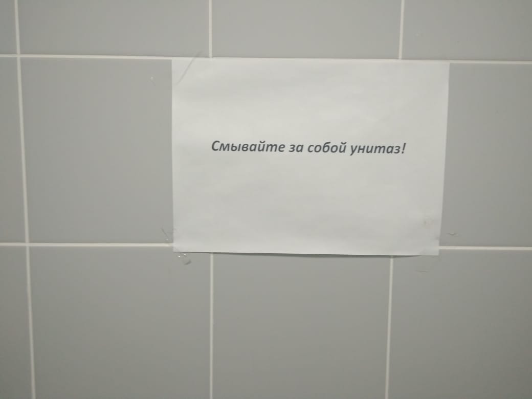 видов картинка смой меня игроку