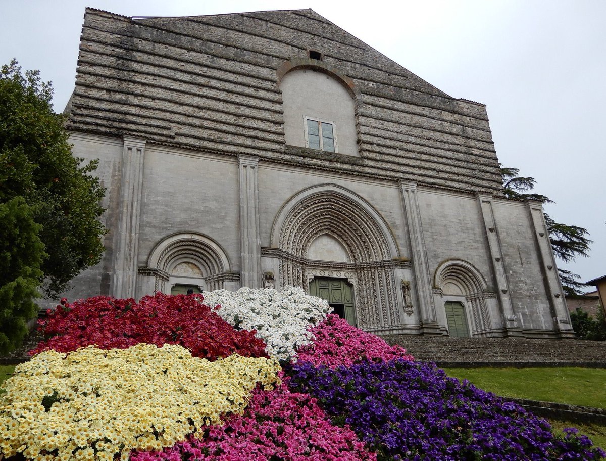 Todi Fiorita tweet media