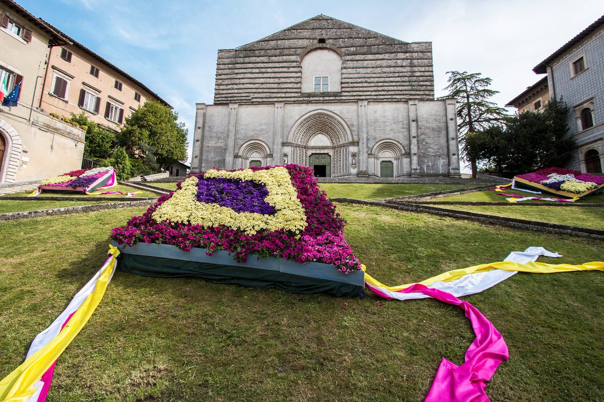 Todi Fiorita tweet media