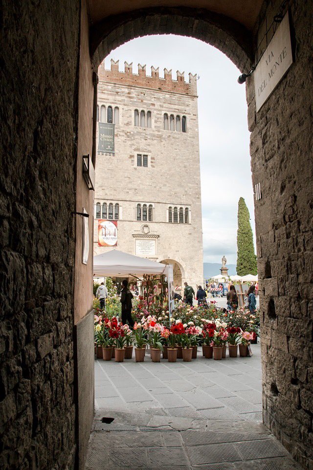 Todi Fiorita tweet media