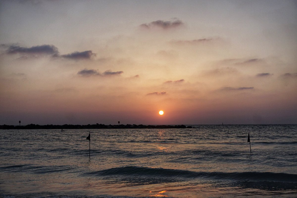 Marc Aurel Busche tweet media