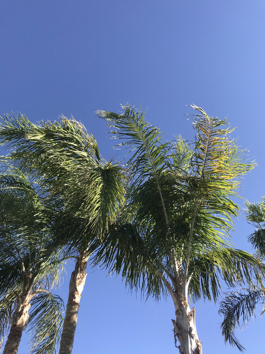 Dodie_Sale42's tweet image. 3 books in 3 days. I love AZ!!! #poolfloatie #bookmarksareforquitters