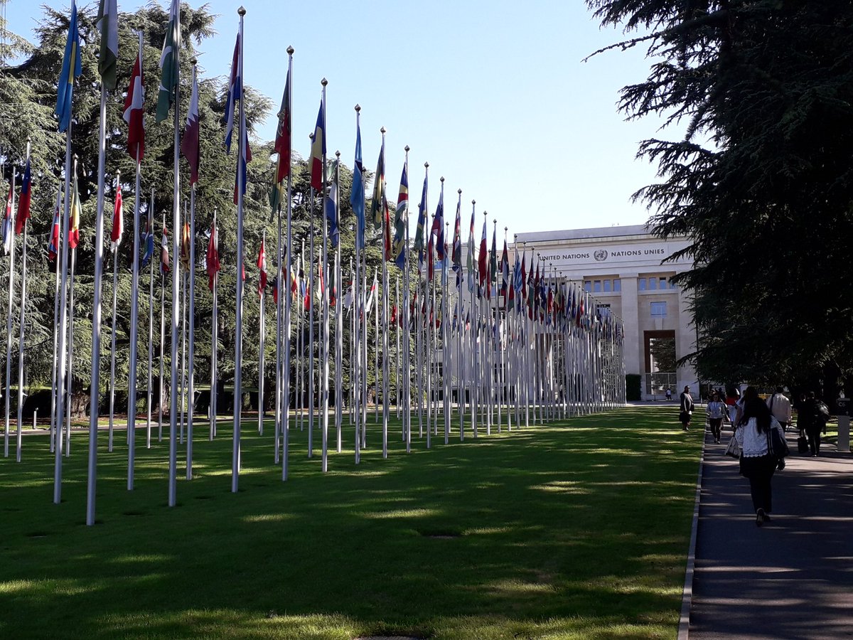 motsetpages's tweet photo. Et c'est reparti...

#ILO100 #CIT100 https://t.co/MitiLe5ANk