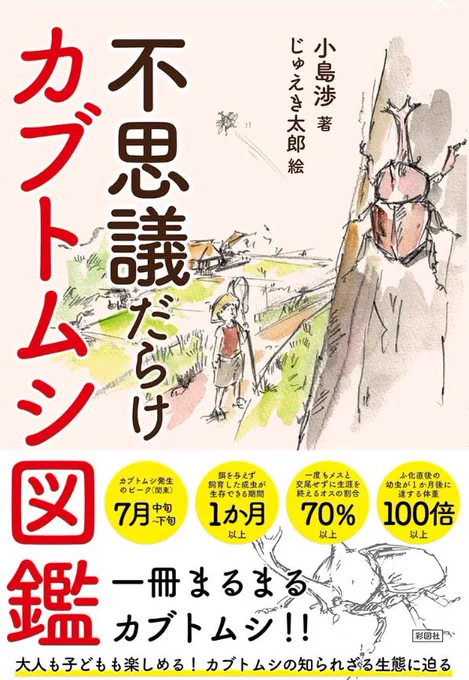 『不思議だらけカブトムシ図鑑』
挿絵を担当させて頂きました。全ページカブトムシ。普段一番描いている虫なのに知らないことばかりでビックリでした。小島渉さんのカブトムシ研究は本当にすごいです。コンビニでも置かれるようですので、よかったら是非読んでみて下さい^_^。 