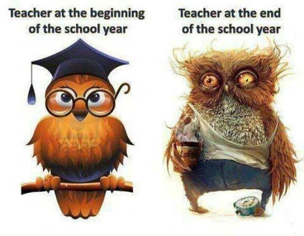 JCollinsMA's tweet photo. Last Monday of the school year! I think I've been that "after" image for a little while now 🤣 #teacherlife https://t.co/cqdr78jiAK