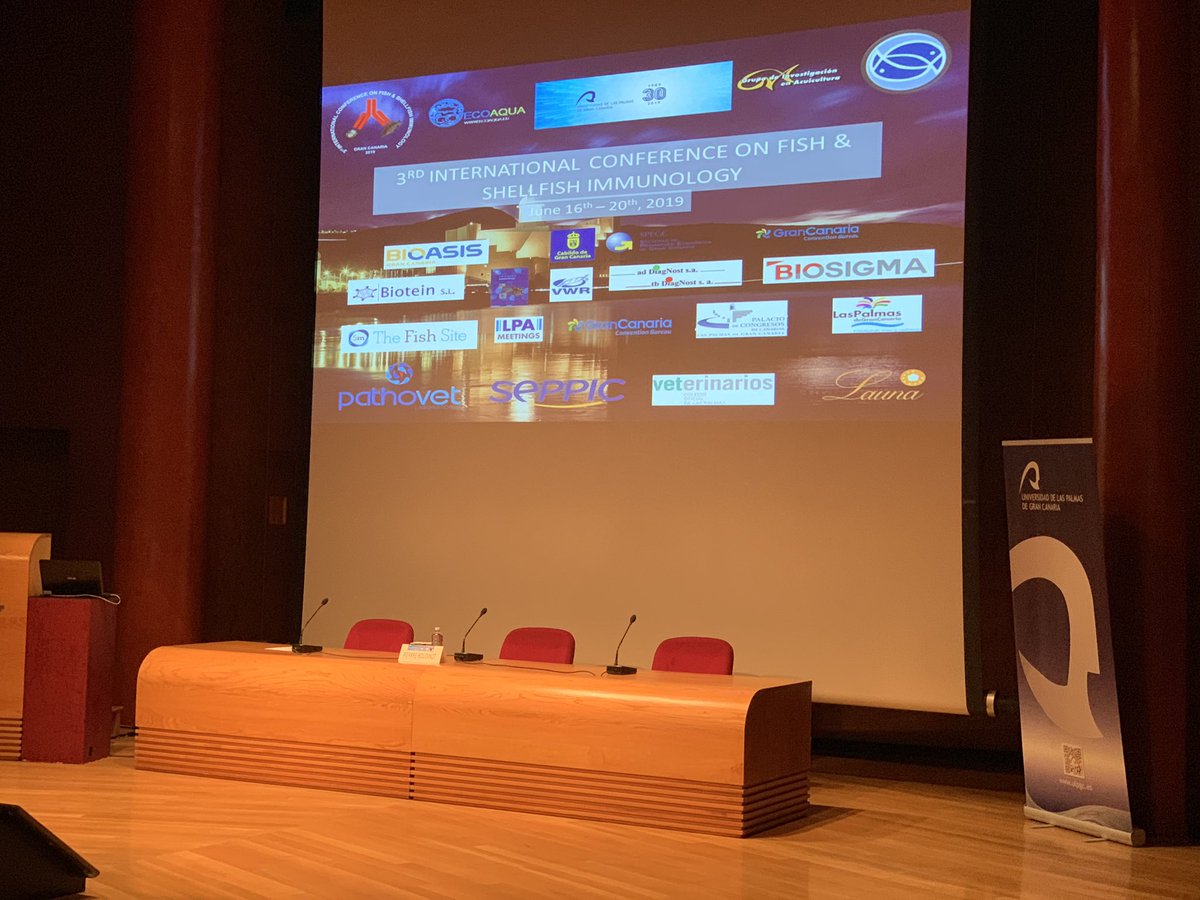 rozaserri's tweet photo. Hoy comenzamos el trabajo en la 3rd International Conference of Fish and Shellfish Immunology, Las Palmas de Gran Canaria, Spain #ISFSI #PATHOVET grandes avances en inmunología y vacunología de peces @AQUASocial @salmonexpert https://t.co/I4bQGVriMO