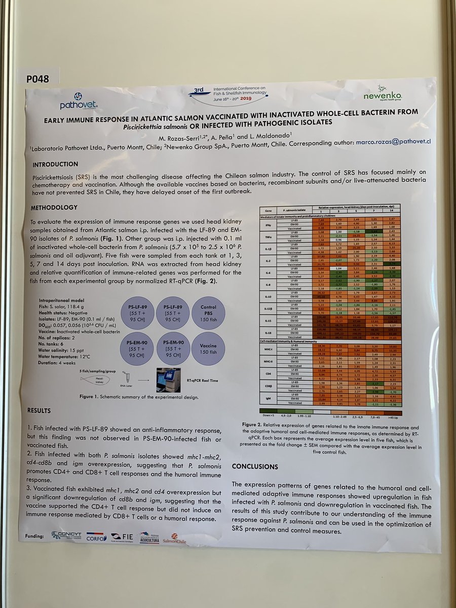 rozaserri's tweet photo. Hoy comenzamos el trabajo en la 3rd International Conference of Fish and Shellfish Immunology, Las Palmas de Gran Canaria, Spain #ISFSI #PATHOVET grandes avances en inmunología y vacunología de peces @AQUASocial @salmonexpert https://t.co/I4bQGVriMO