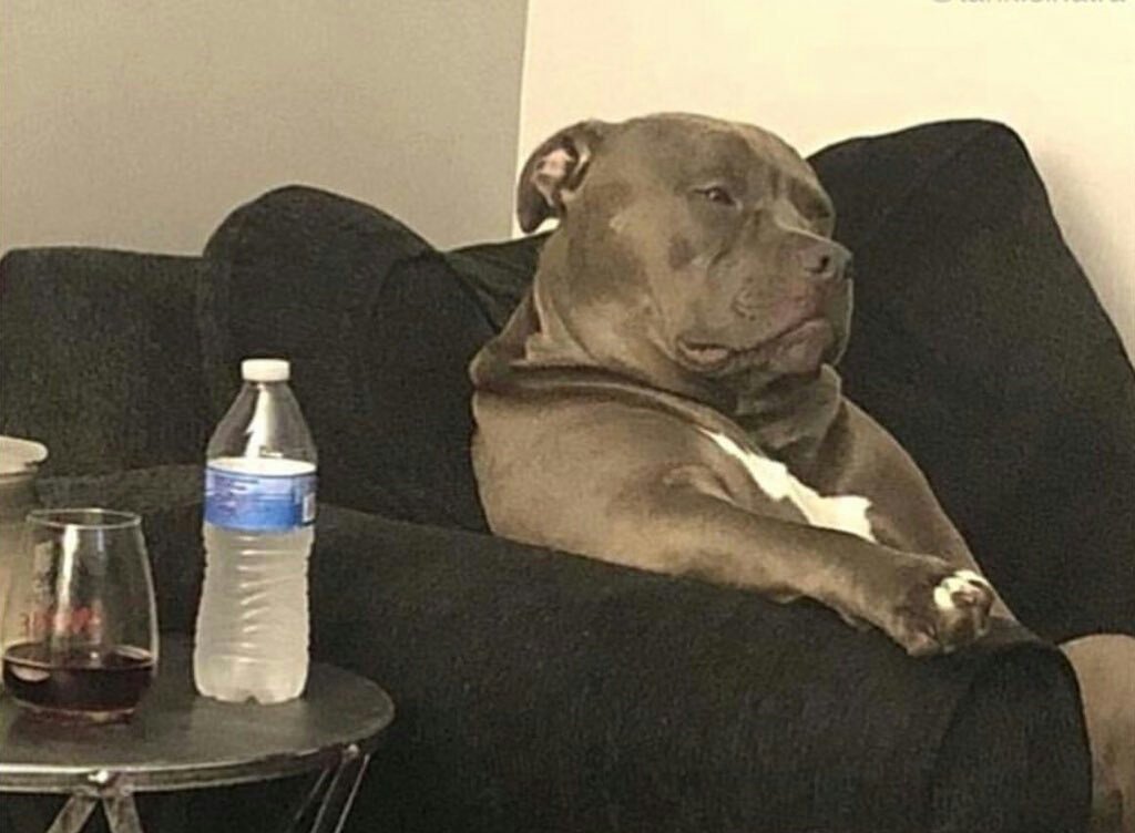 TolaBrown's tweet image. After you got infected with #NormalMisbehaviour Groove and spent all your money at the club