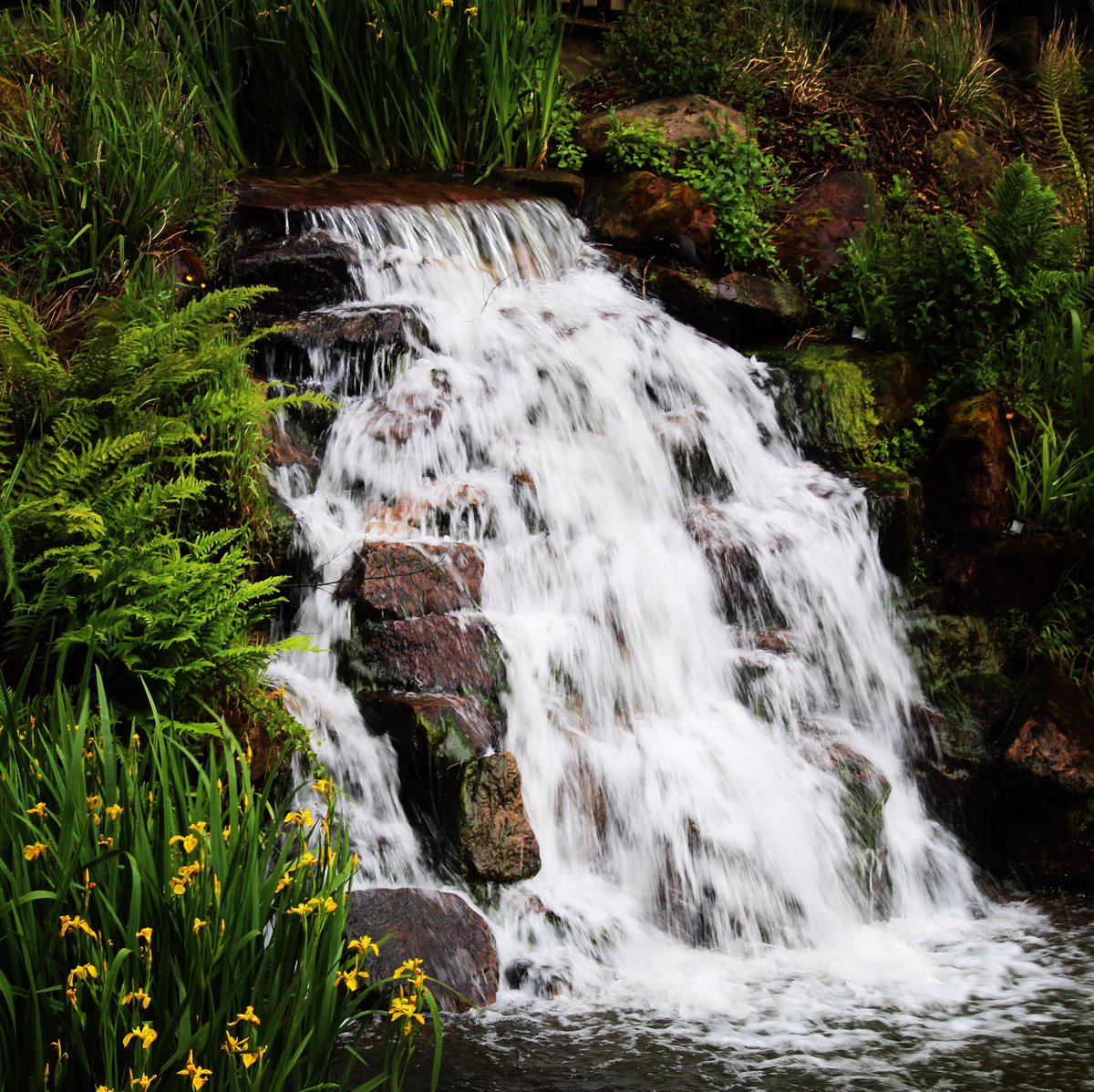 DDeasonPhoto's tweet photo. Perfect picture opportunities @CenterParcsUK https://t.co/abFUOGSV88