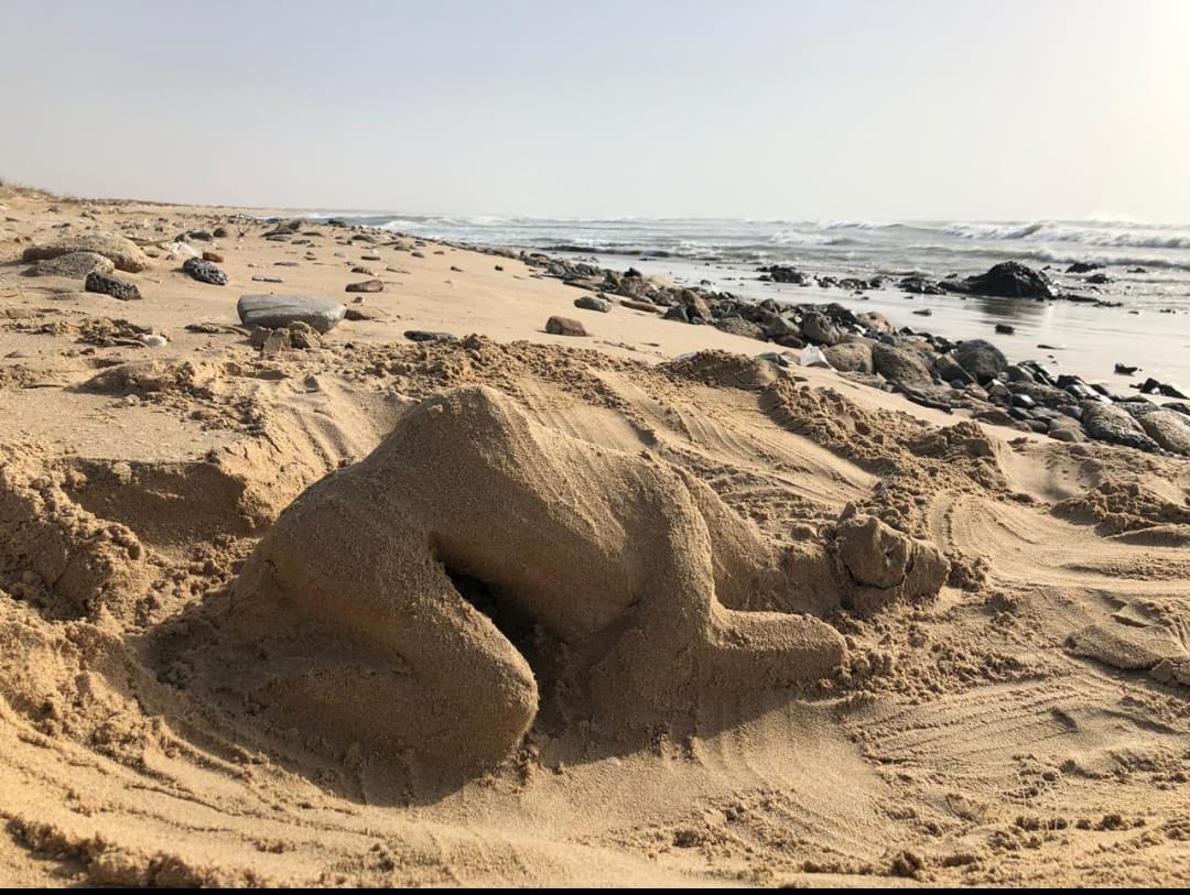 وشرايكم بتصميم