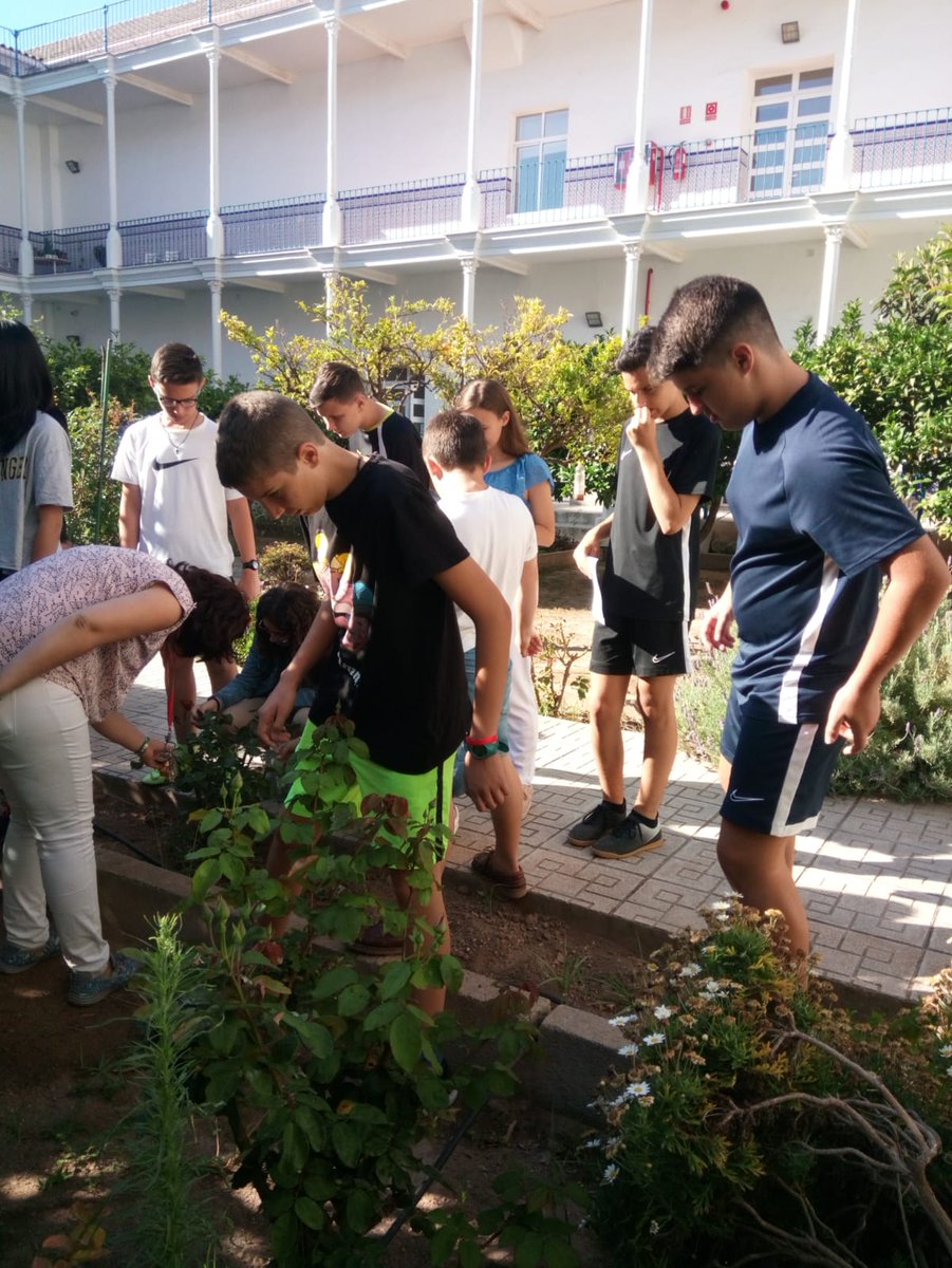 svpaulcar's tweet photo. Y un año más,  y ya van tres, semana de workshops en @svpaulcar. Aprender de manera diferente. #juntossomosmas #yosoydelsanvi https://t.co/3urfr85GtS