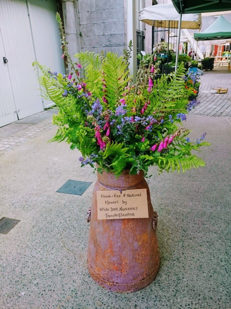 WhiteDoveLMK's tweet photo. Definitely parked up and in neutral after three 16 hour days on the trot, but what a great day we had @TheMilkMarket yesterday - #limerickgardenfestival #citysundays #partyintheplants #hotorange #plantlovers #coolsilver https://t.co/0POq0g7XHR