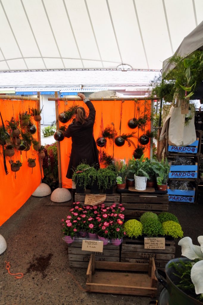 WhiteDoveLMK's tweet photo. Definitely parked up and in neutral after three 16 hour days on the trot, but what a great day we had @TheMilkMarket yesterday - #limerickgardenfestival #citysundays #partyintheplants #hotorange #plantlovers #coolsilver https://t.co/0POq0g7XHR