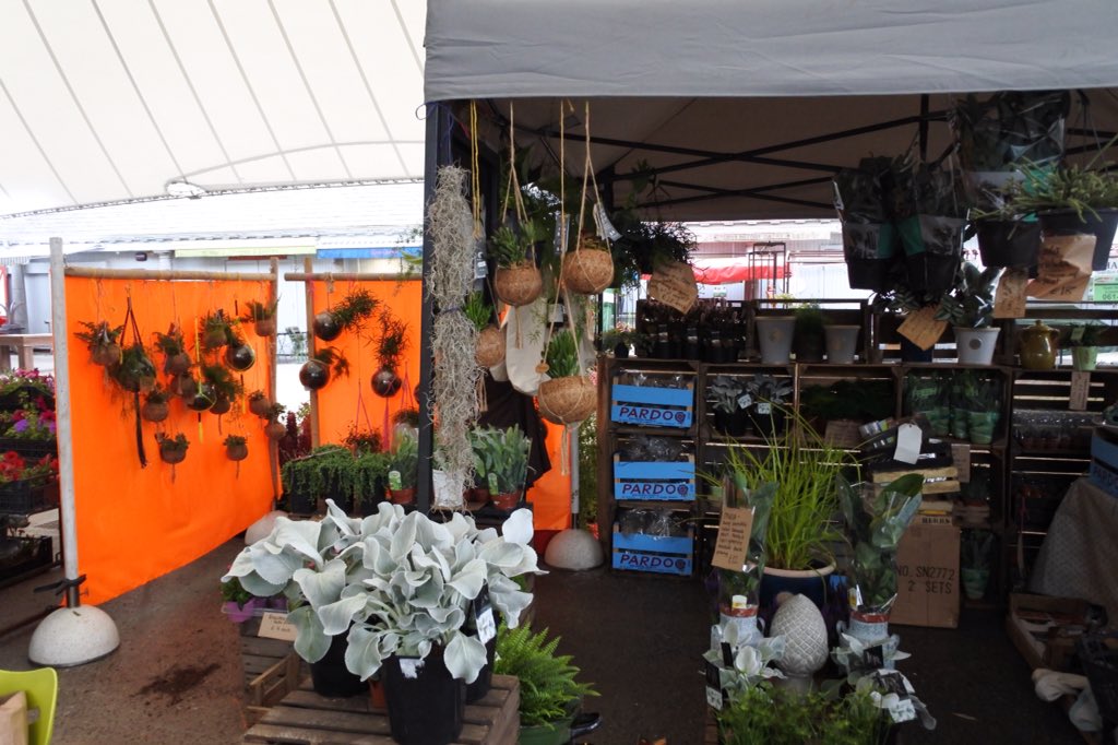 WhiteDoveLMK's tweet photo. Definitely parked up and in neutral after three 16 hour days on the trot, but what a great day we had @TheMilkMarket yesterday - #limerickgardenfestival #citysundays #partyintheplants #hotorange #plantlovers #coolsilver https://t.co/0POq0g7XHR