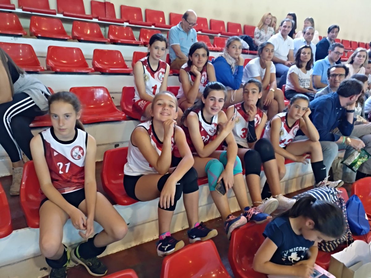 voleysanse's tweet photo. ¡Buenos días #CVSansers ☀️! 

O R G U L L O 💪🏻

Hemos estado en la final de Madrid de minivoley en Torrejón.
Uno de los equipos alevines (CV Sanse rojo) ha quedado tercero de Madrid, perdiendo en semis con @VoleyRecuerdo y ganando a  @voleibolrivas por el tercer y cuarto puesto🥉 https://t.co/BPHleUwQuD