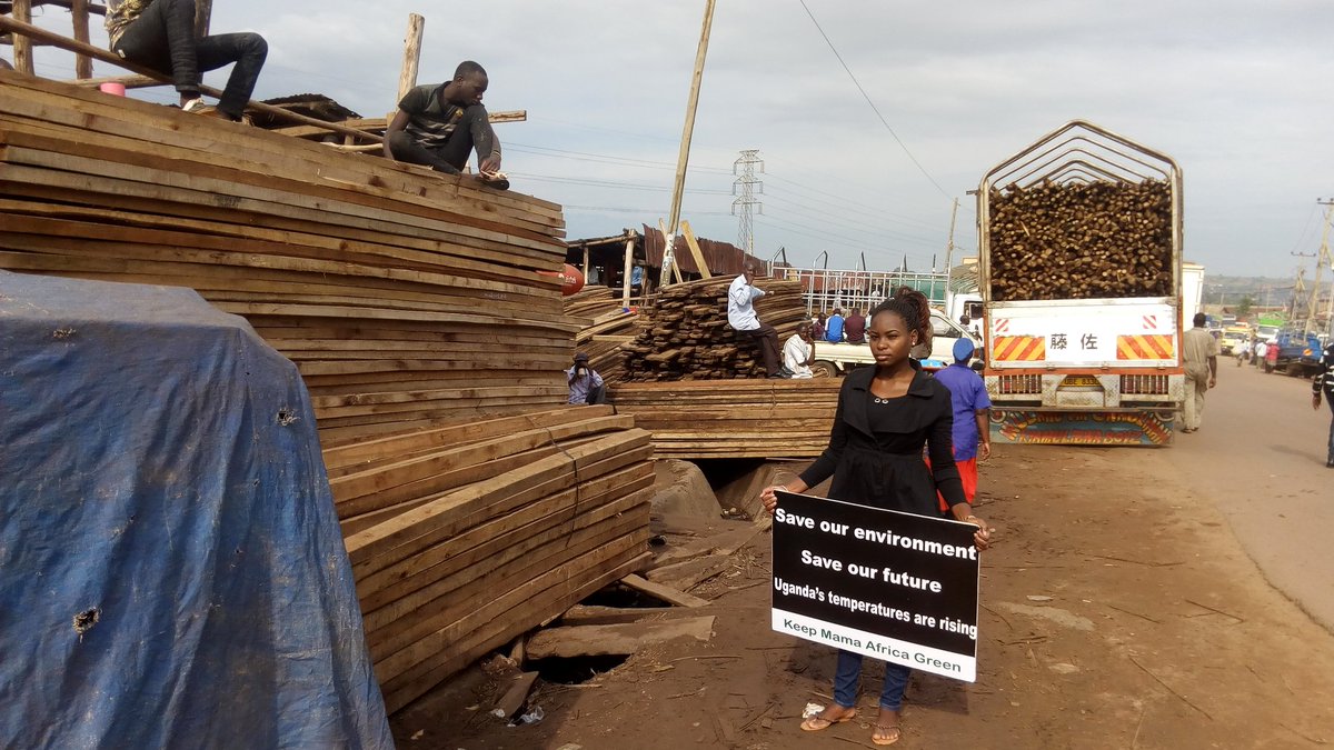 NakabuyeHildaF's tweet photo. Let us unite and #SaveTrees. We need development but not at the expense of our lives. I dedicated my #schoolstrike4climate to talk to timber stalls in Uganda to #StopDeforestation. @GretaThunberg  @SchoolsTrees1 @growa_tree @Treegrowerske https://t.co/44etTioebR