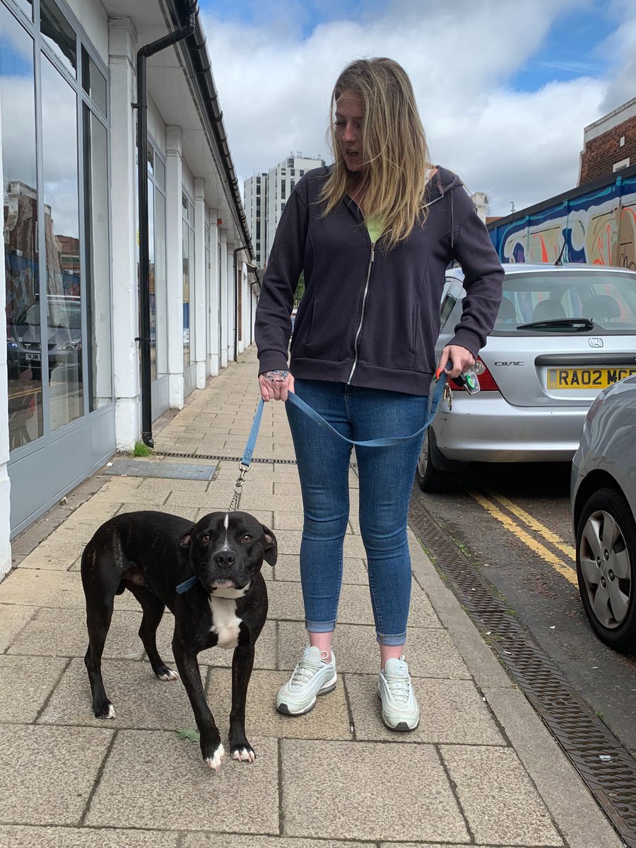 Delighted to say that 'Boosh' was just reunited with his owner. Thanks for all of your help!