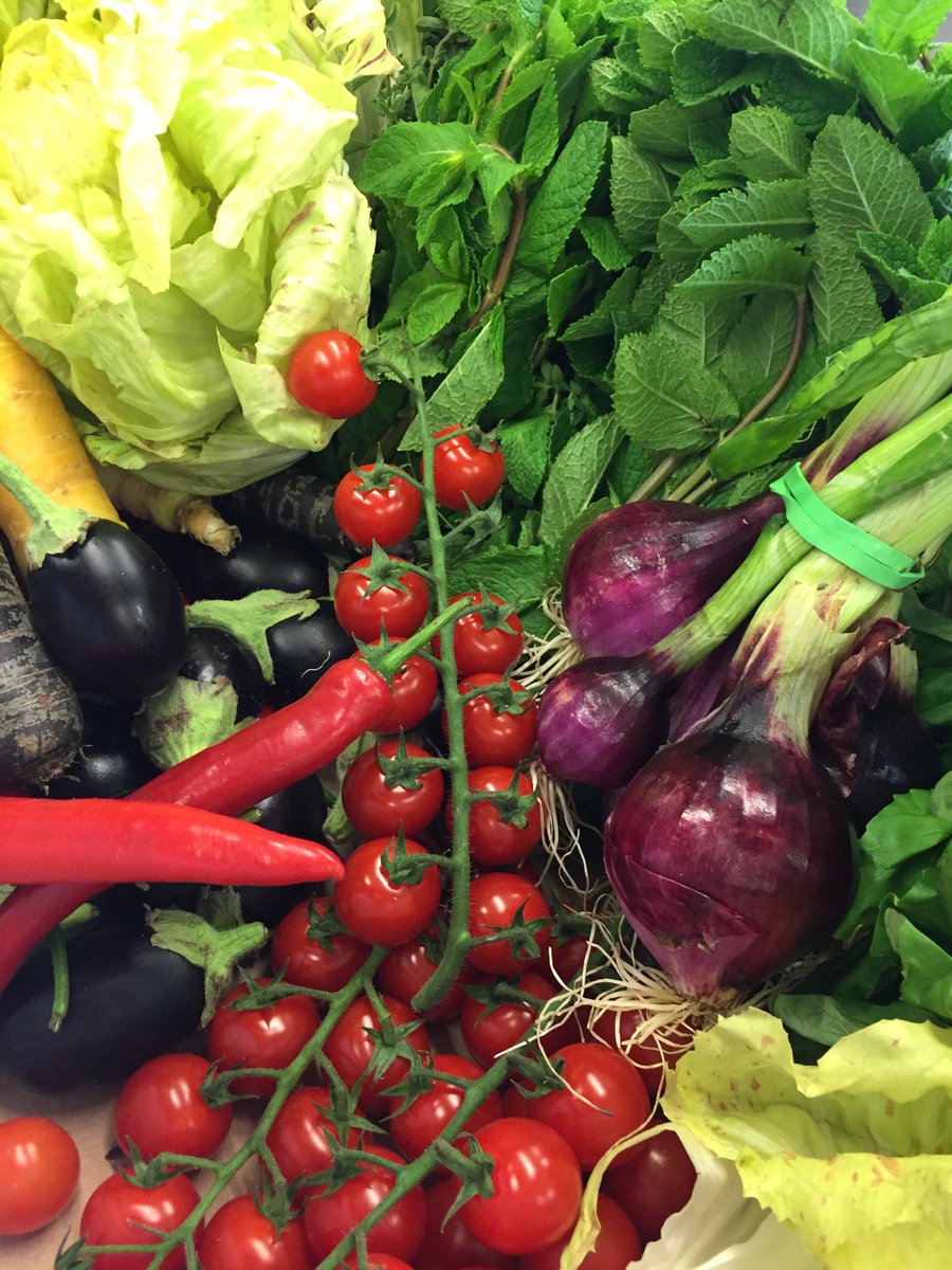 cheflloydy's tweet photo. @LotusFoodEvents @OuiChefVeg @noplasticproj @noplasticthanet oui chef London veg supplier supporting the cause!! EXCELLENT DELIVERY #looseveg #wayforward #doingyourbit!  
#lotusevents https://t.co/LfviP3bBgC